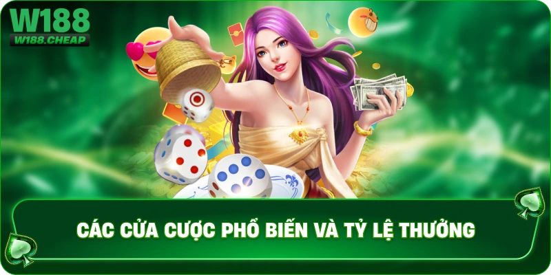 Các cửa cược phổ biến và tỷ lệ thưởng