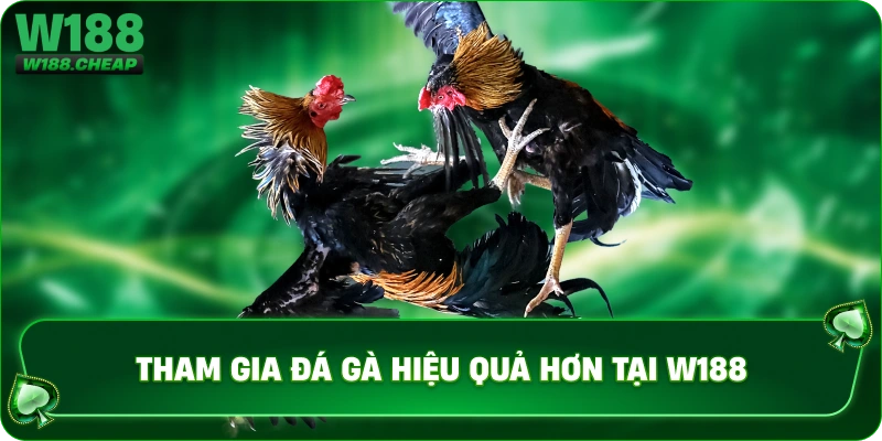 Tham gia đá gà hiệu quả hơn tại W188